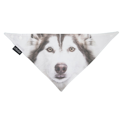 BAMBINISTA - CRIBSTAR - Bibs - Bib Husky
