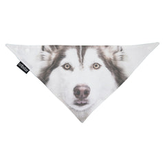 BAMBINISTA - CRIBSTAR - Bibs - Bib Husky